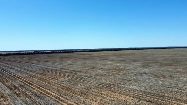 Sixth view of Homely rural property listing, 543 Forest Creek Road, North Star NSW 2408