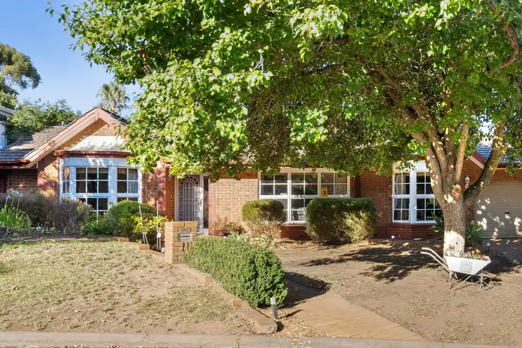 11 Austin Place, Wynn Vale SA 5127