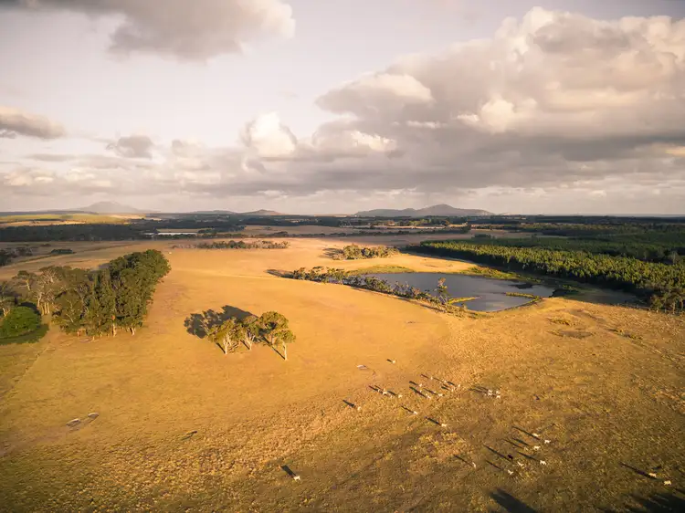 Main view of Homely rural property listing, Lot 3583 McDonald Road, Kalgan WA 6330