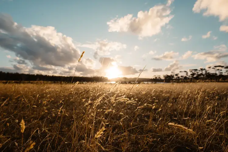 Third view of Homely rural property listing, Lot 3583 McDonald Road, Kalgan WA 6330