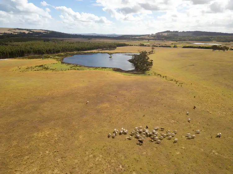 Fourth view of Homely rural property listing, Lot 3583 McDonald Road, Kalgan WA 6330