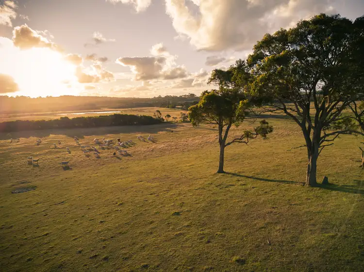 Seventh view of Homely rural property listing, Lot 3583 McDonald Road, Kalgan WA 6330