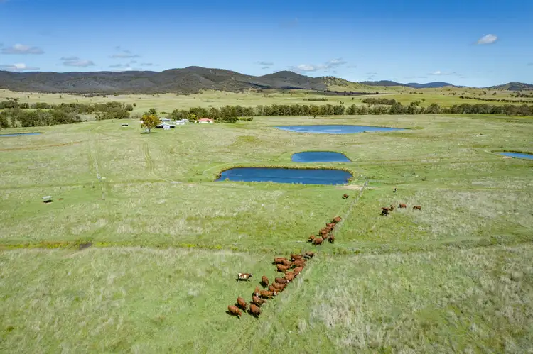 Fifth view of Homely rural property listing, Lot 16 McMeniman Road, Ballandean QLD 4382