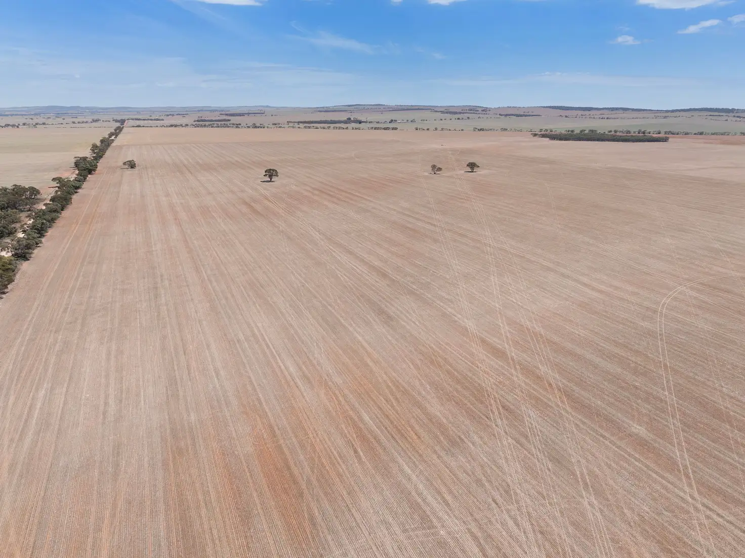 Main view of Homely rural property listing, 'Pfitzner's' Julia Road, Julia SA 5374