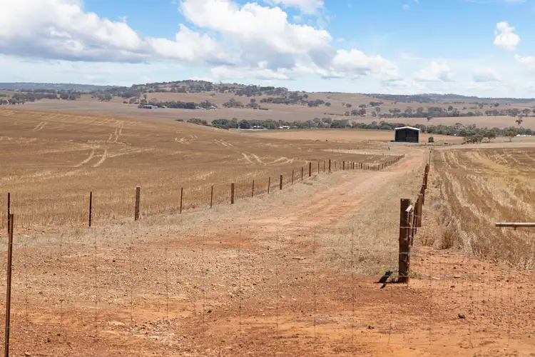 Fourth view of Homely rural property listing, 'Pfitzner's' Julia Road, Julia SA 5374
