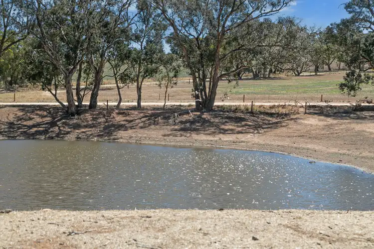Fifth view of Homely rural property listing, 'Pfitzner's' Julia Road, Julia SA 5374