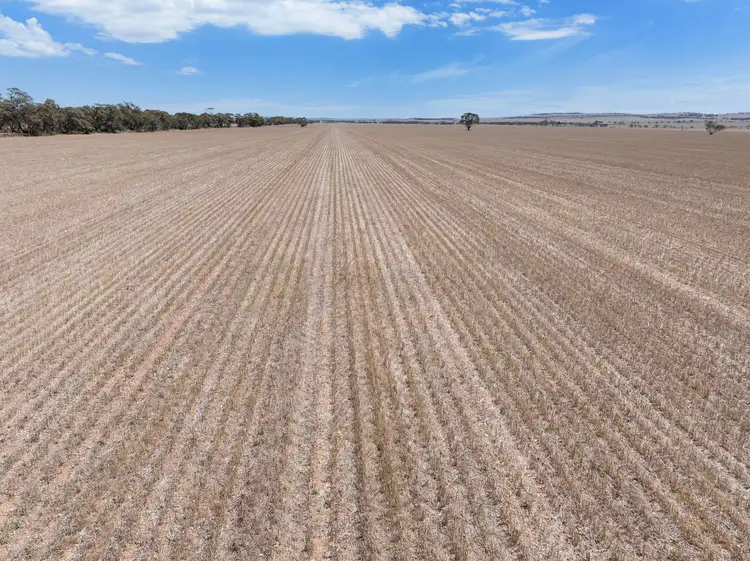 Sixth view of Homely rural property listing, 'Pfitzner's' Julia Road, Julia SA 5374
