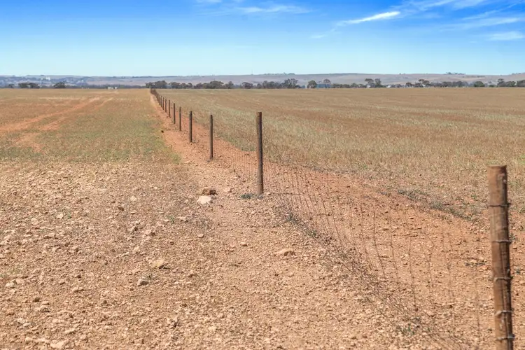 Seventh view of Homely rural property listing, 'Pfitzner's' Julia Road, Julia SA 5374