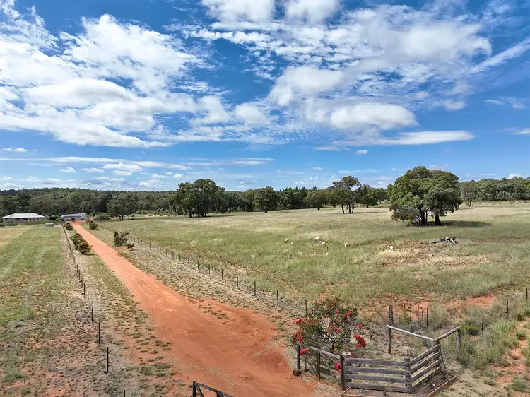 Third view of Homely rural property listing, 394 QUAKER TOMMY Road, Coonabarabran NSW 2357