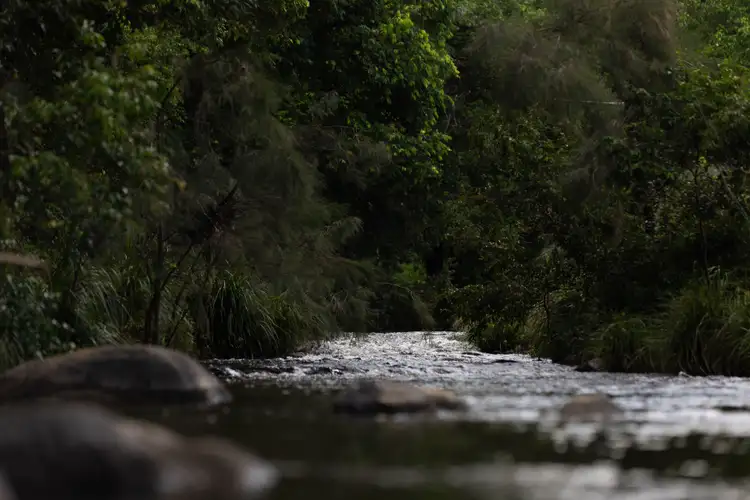 Second view of Homely other listing, 374 Aherns Road, Conondale QLD 4552