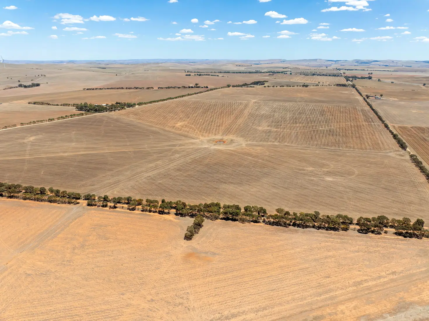 Main view of Homely rural property listing, 'Richards' & 'Beckwiths', Mount Bryan SA 5418