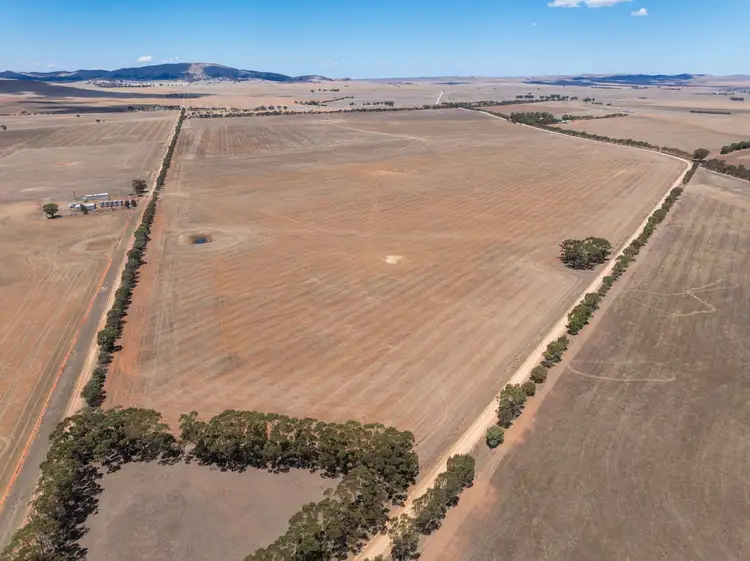 Third view of Homely rural property listing, 'Richards' & 'Beckwiths', Mount Bryan SA 5418