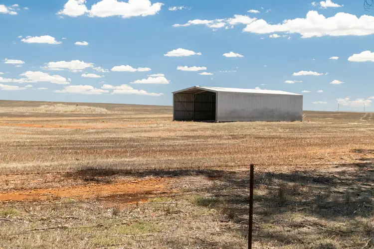 Fifth view of Homely rural property listing, 'Richards' & 'Beckwiths', Mount Bryan SA 5418
