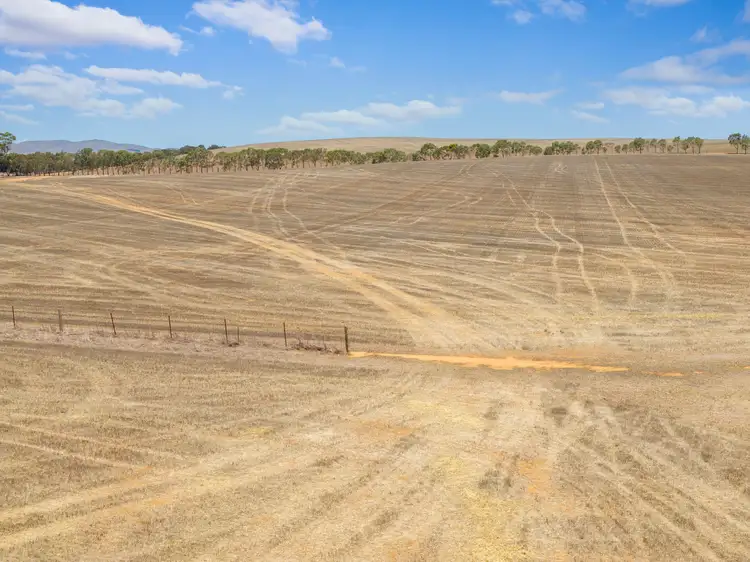Seventh view of Homely rural property listing, 'Richards' & 'Beckwiths', Mount Bryan SA 5418