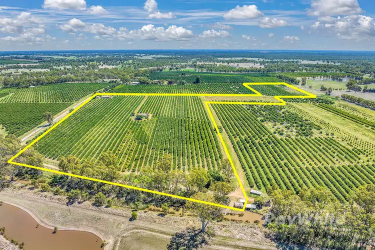 ''Belltrees'' 75 Little Forest Lane, Barham NSW 2732