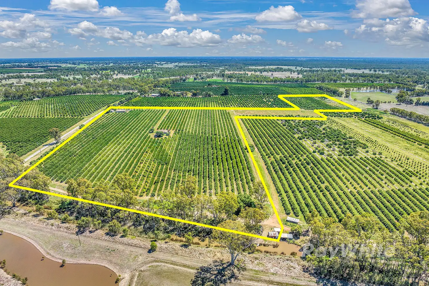 Main view of Homely rural property listing, ''Belltrees'' 75 Little Forest Lane, Barham NSW 2732