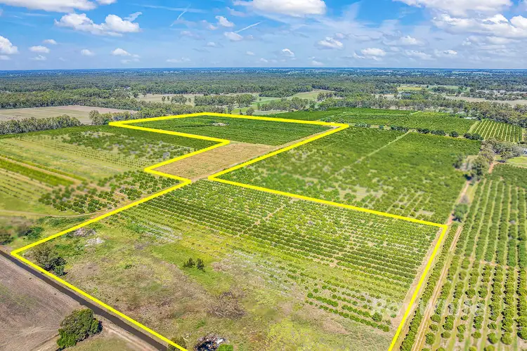 Third view of Homely rural property listing, ''Belltrees'' 75 Little Forest Lane, Barham NSW 2732