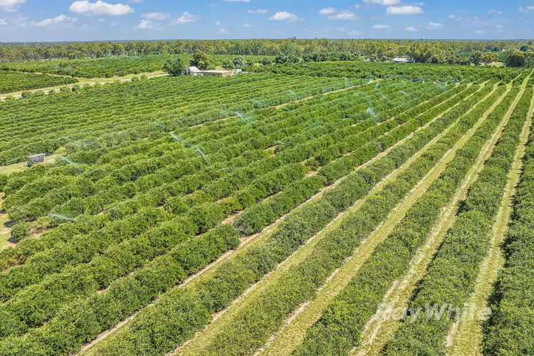 Sixth view of Homely rural property listing, ''Belltrees'' 75 Little Forest Lane, Barham NSW 2732