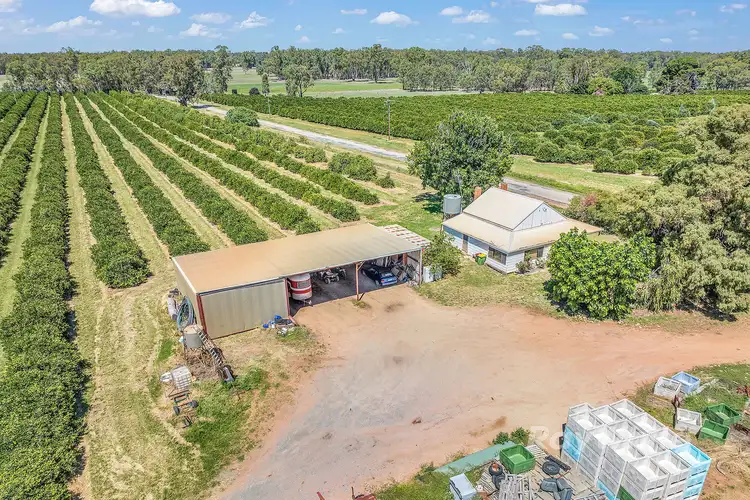 Seventh view of Homely rural property listing, ''Belltrees'' 75 Little Forest Lane, Barham NSW 2732