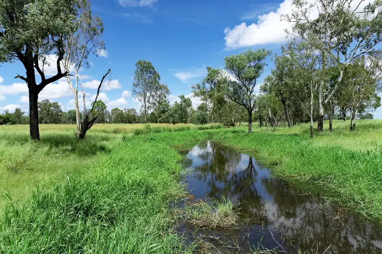 Fifth view of Homely rural property listing, 'Sheildoo' 11526 Dawson Highway, Dakenba QLD 4715