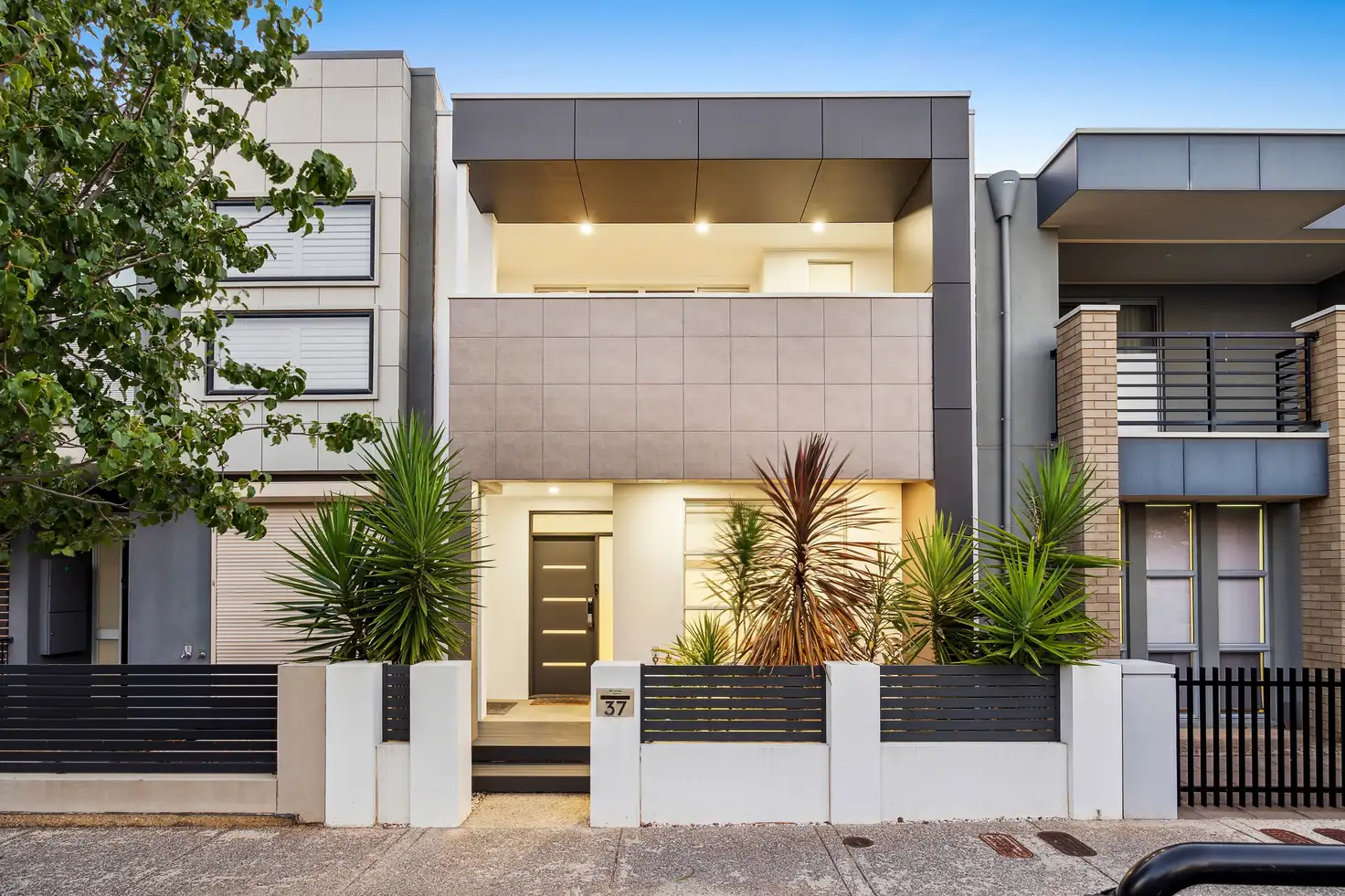 Main view of Homely house listing, 37 Tiara Street, Lightsview SA 5085