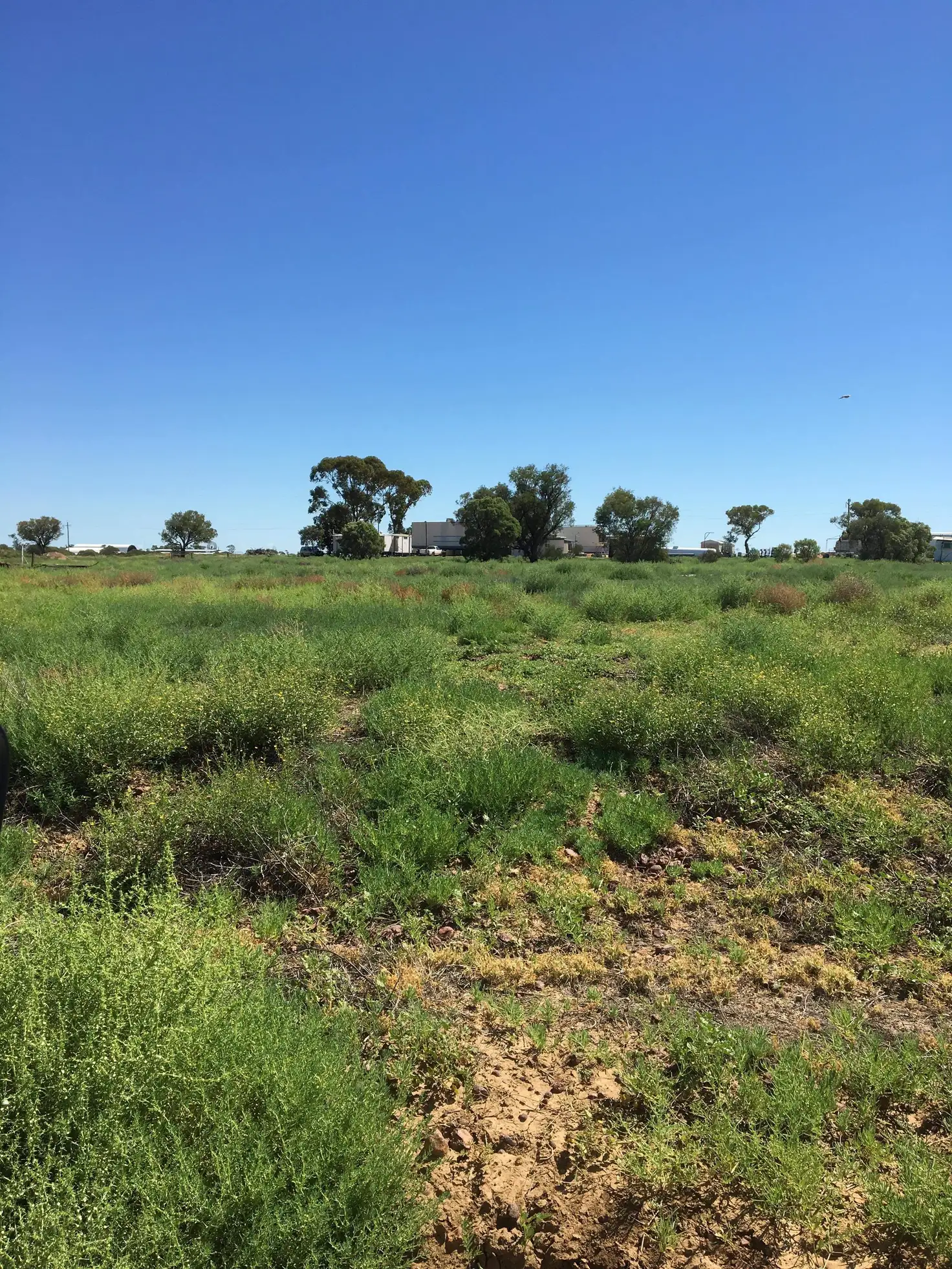 Main view of Homely land listing, LOT Lot 1 Raven Road, Longreach QLD 4730