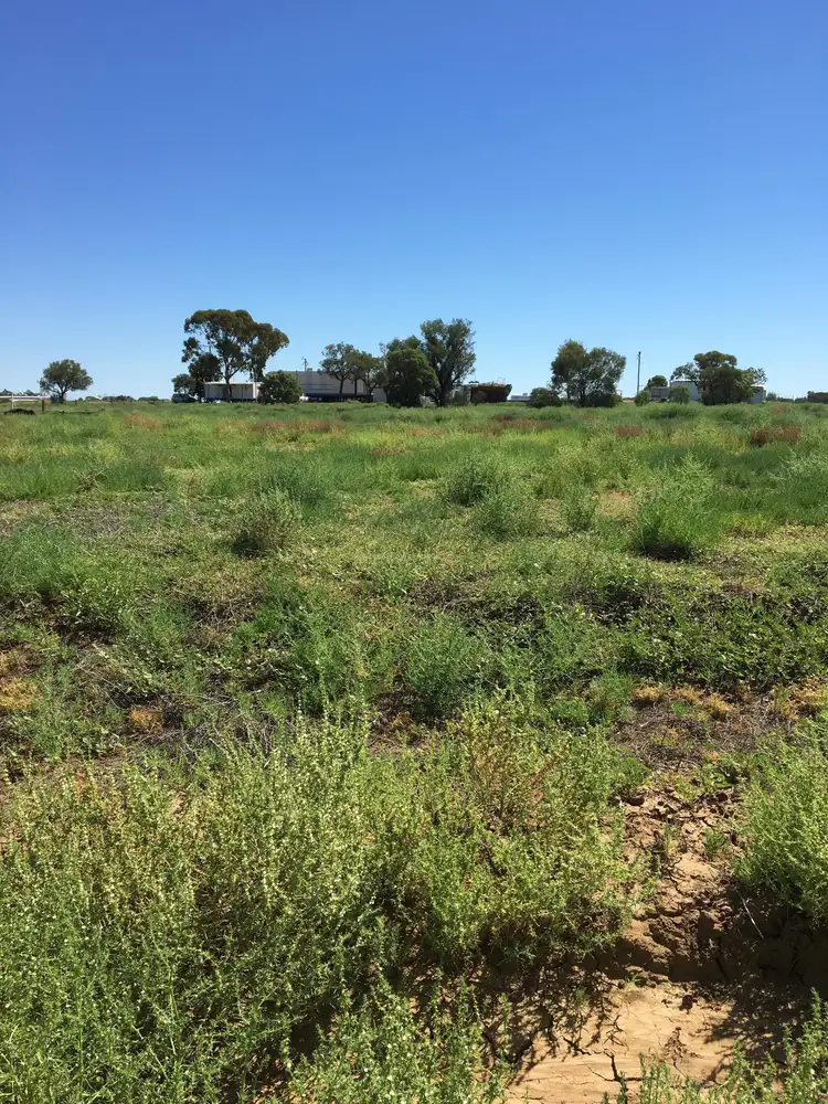 Second view of Homely land listing, LOT Lot 1 Raven Road, Longreach QLD 4730