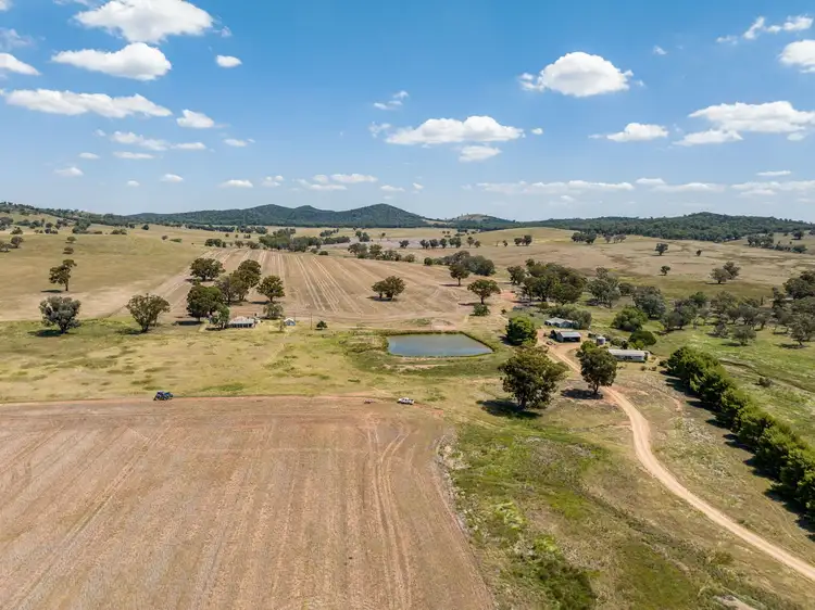 Fifth view of Homely rural property listing, "Sunnyside" 664 Mcdonalds Lane, Grenfell NSW 2810