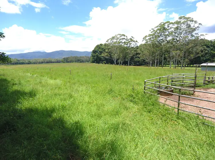 Fourth view of Homely rural property listing, 8622 Kennedy Highway, Atherton QLD 4883