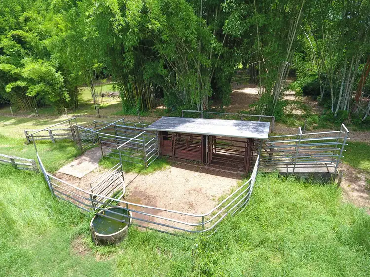 Fifth view of Homely rural property listing, 8622 Kennedy Highway, Atherton QLD 4883