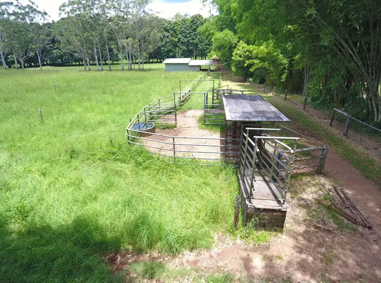 Sixth view of Homely rural property listing, 8622 Kennedy Highway, Atherton QLD 4883