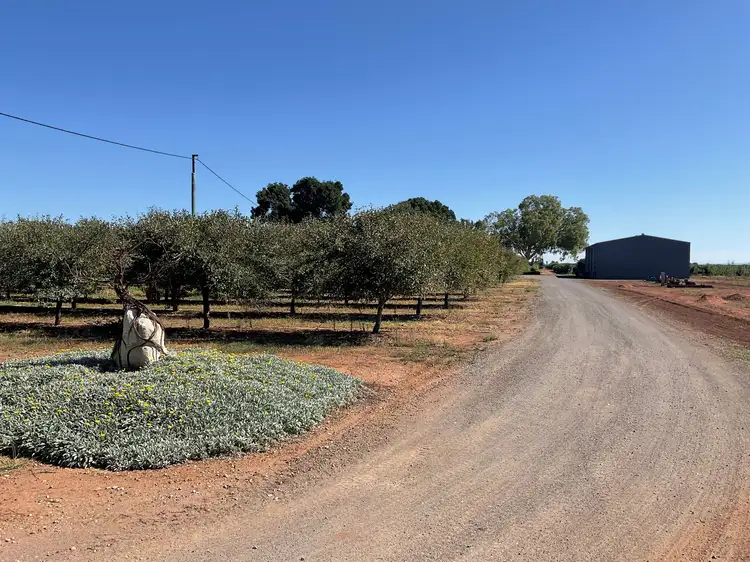 Second view of Homely rural property listing, Farm 13 & 9 Sainty Road, Hanwood NSW 2680