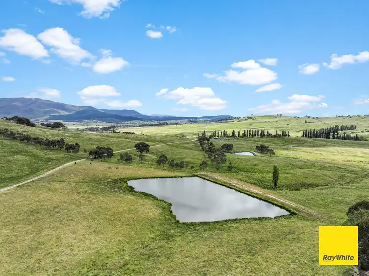 Second view of Homely rural property listing, 371 Tidbinbilla Road, Tharwa ACT 2620