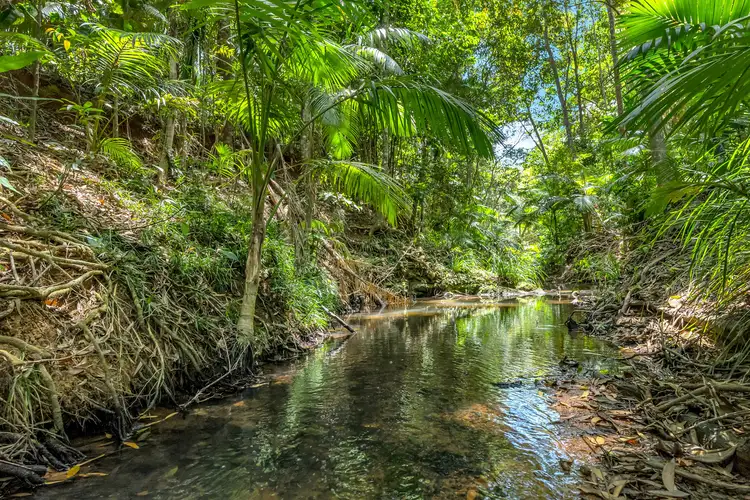 Second view of Homely house listing, 32 Masons Road, Kuranda QLD 4881