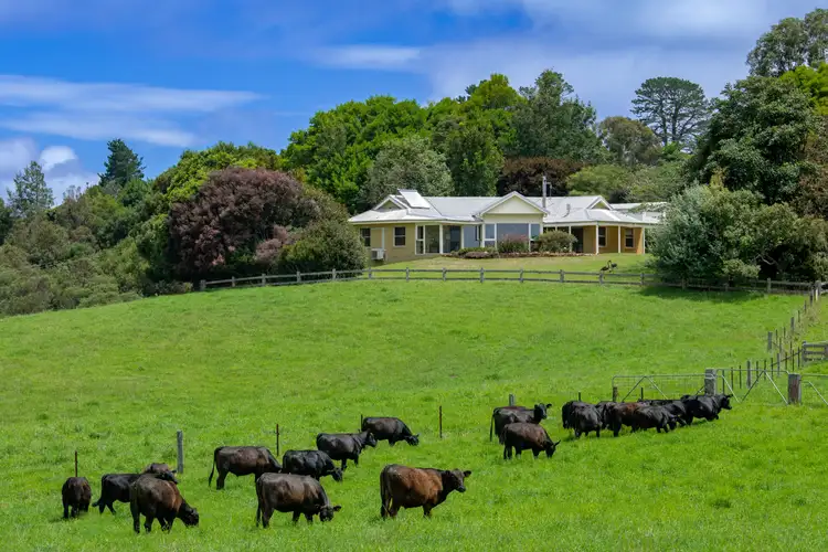 Second view of Homely rural property listing, 922 Whisky Creek Road, Dorrigo NSW 2453