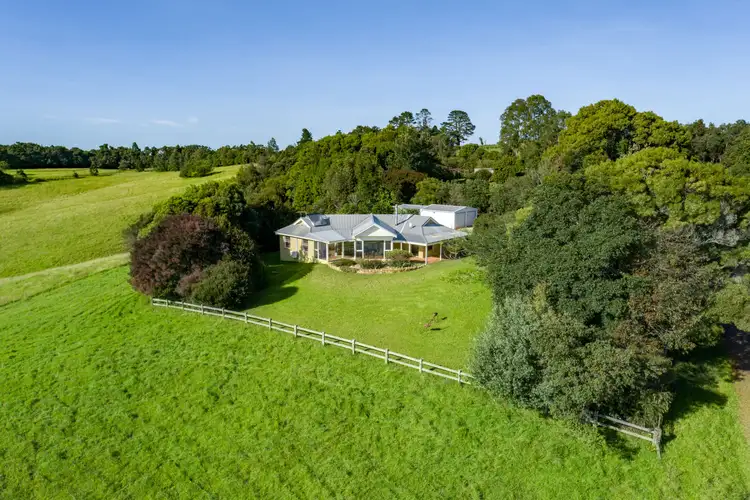 Sixth view of Homely rural property listing, 922 Whisky Creek Road, Dorrigo NSW 2453