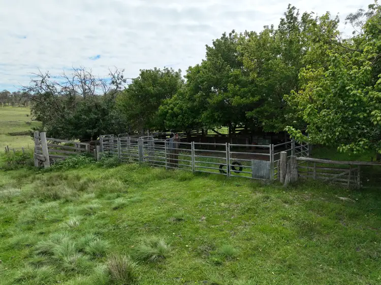 Fifth view of Homely rural property listing, 571 Shannon Vale Road, Shannon Vale NSW 2370