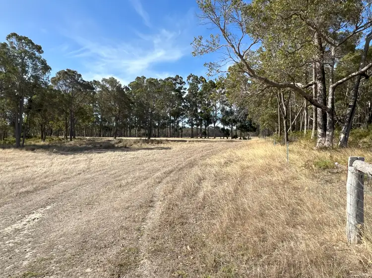 Second view of Homely rural property listing, 1014 Tindale Road, Kentdale WA 6333