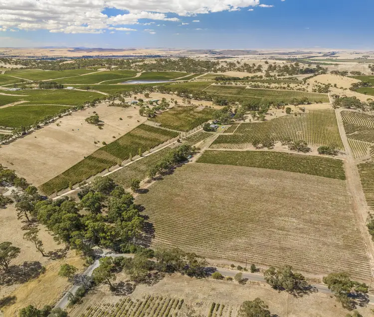 Third view of Homely rural property listing, 'Highview' Slaughterhouse Road, Clare SA 5453