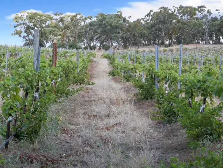 Sixth view of Homely rural property listing, 'Highview' Slaughterhouse Road, Clare SA 5453