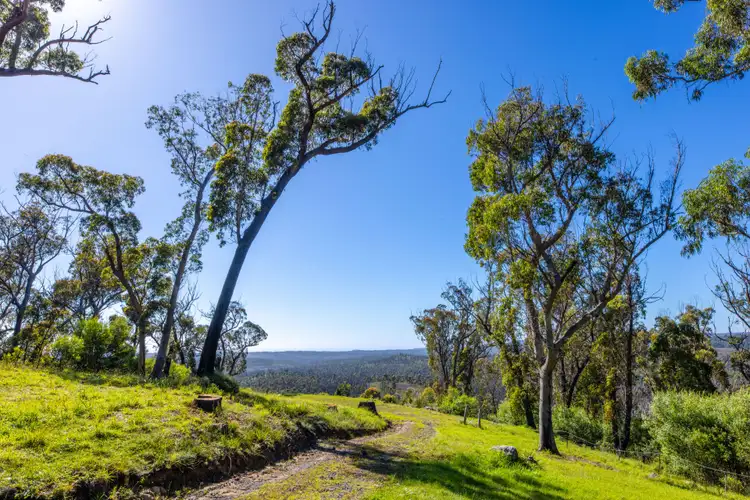 Fourth view of Homely rural property listing, Lot 4 Braidwood Road, Sassafras NSW 2622