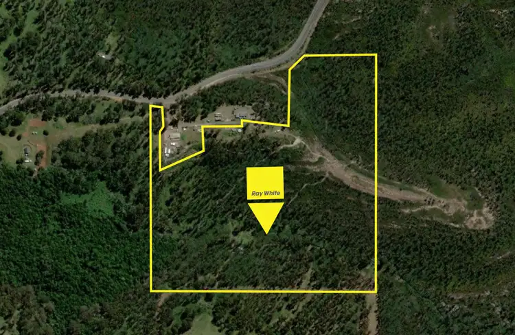 Fifth view of Homely rural property listing, Lot 4 Braidwood Road, Sassafras NSW 2622