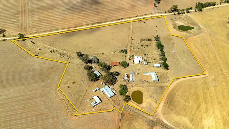 Second view of Homely other listing, 249 Roehr Road, Tarnma SA 5413