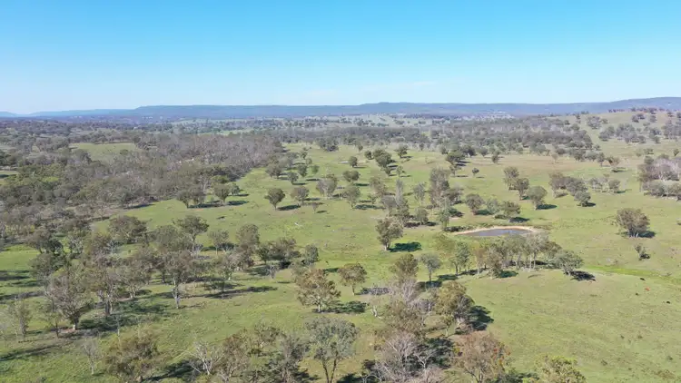 Second view of Homely rural property listing, 216 Mt Drummond Road, Bundarra NSW 2359