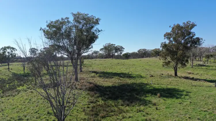 Fourth view of Homely rural property listing, 216 Mt Drummond Road, Bundarra NSW 2359