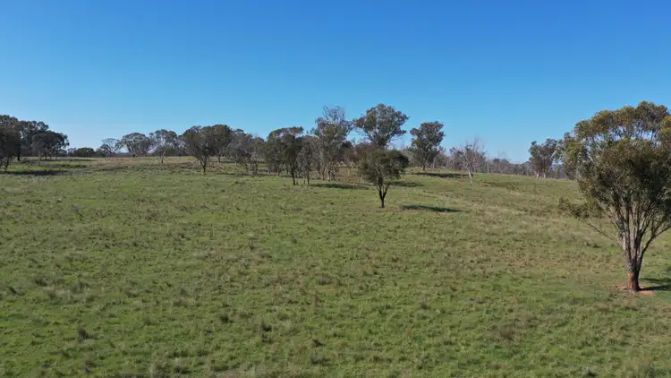 Sixth view of Homely rural property listing, 216 Mt Drummond Road, Bundarra NSW 2359
