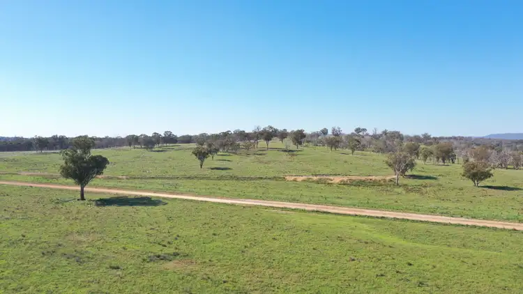 Seventh view of Homely rural property listing, 216 Mt Drummond Road, Bundarra NSW 2359
