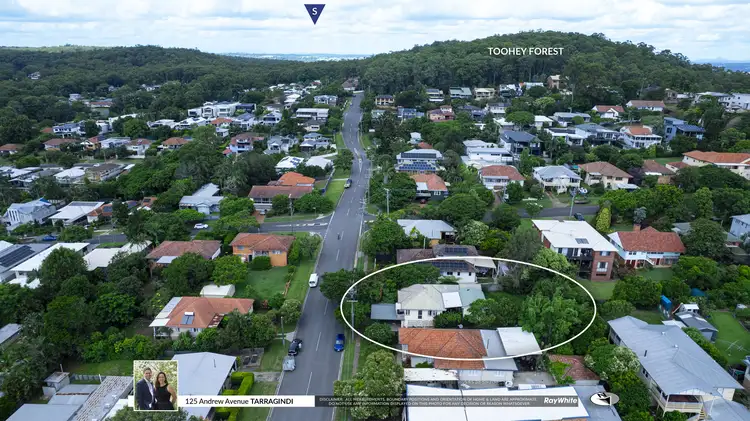 Main view of Homely house listing, 125 Andrew Avenue, Tarragindi QLD 4121
