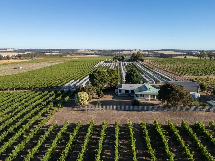 Yarrabee 1270 Wingebellup Road, Frankland River WA 6396