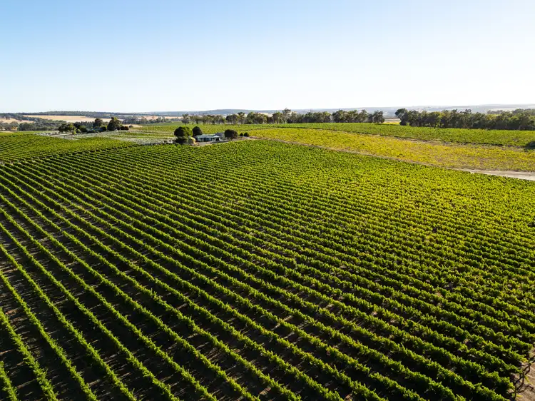 Third view of Homely rural property listing, Yarrabee 1270 Wingebellup Road, Frankland River WA 6396